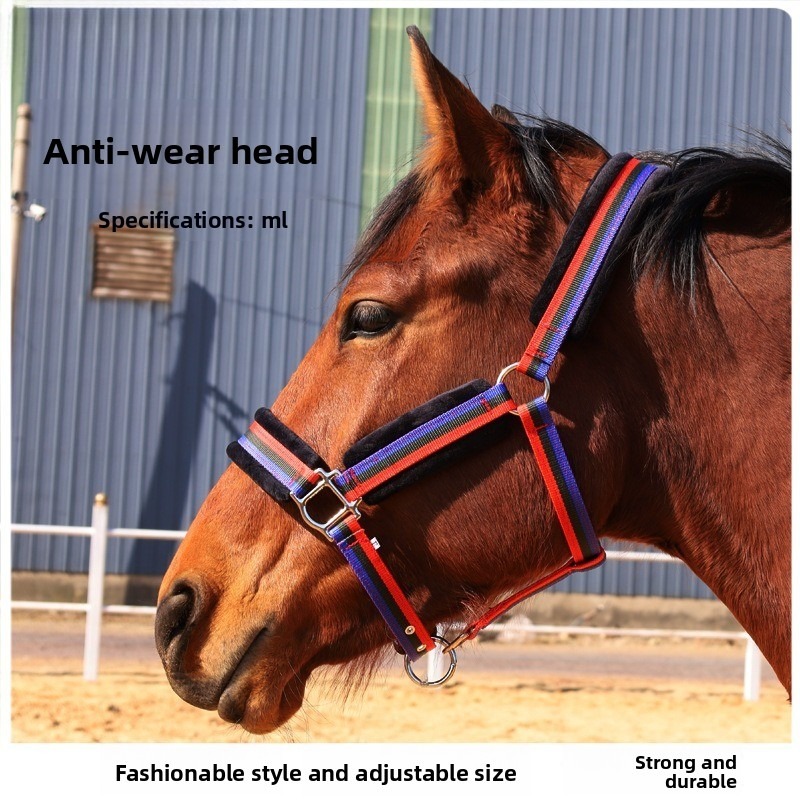 Headcollar Rope Set - Verschleißfestes Textil-Pferdehalfter-Set, abriebfester Kopfriemen mit Führstrick,
