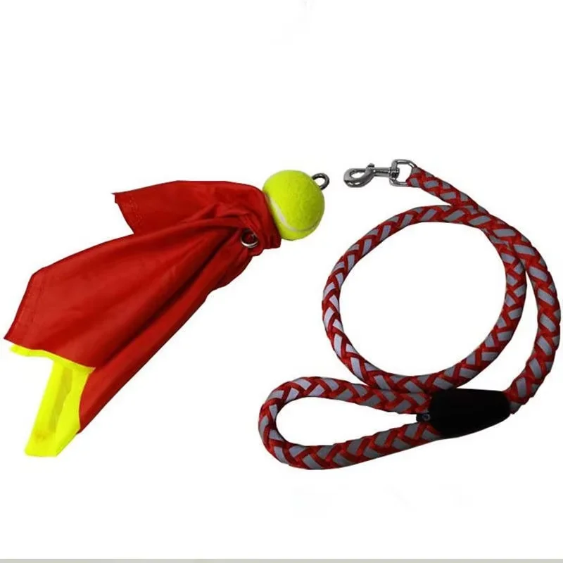 6/8/10 Meter Schwingender Ball – Outdoor Sport Festival Bewertung und Preis