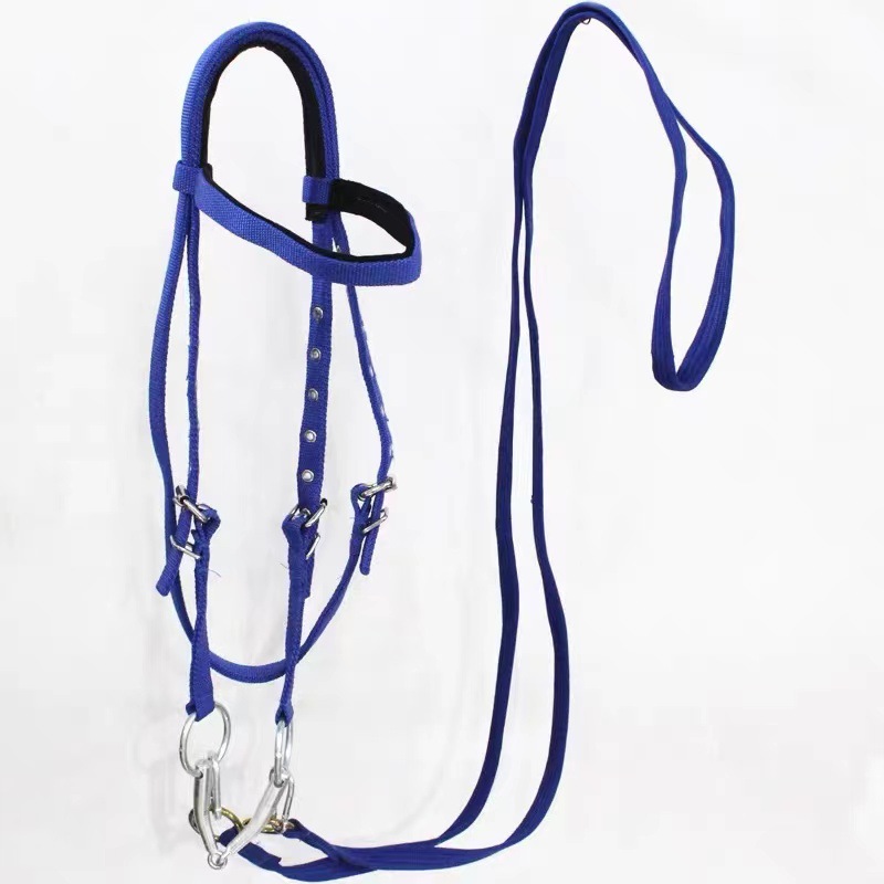 Pferdehalfter mit Führstrick-S – Headcollar Rope Set Bewertung und Preis