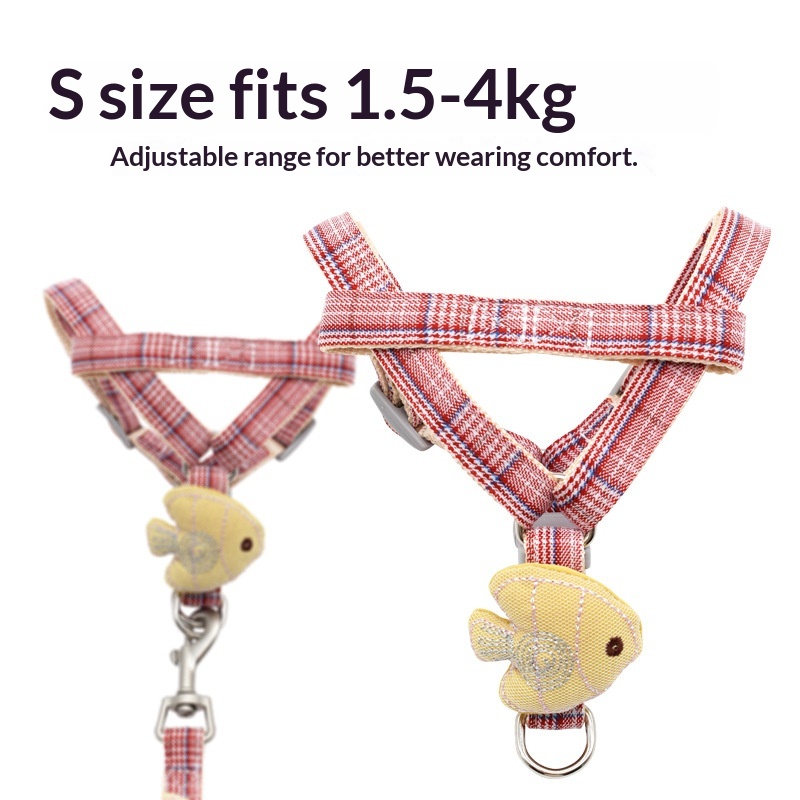 Hundegeschirr und Leine Set fü – Headcollar Rope Set Bewertung und Preis
